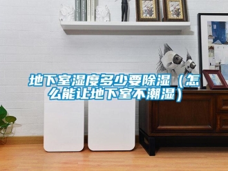 企業(yè)新聞地下室濕度多少要除濕（怎么能讓地下室不潮濕）