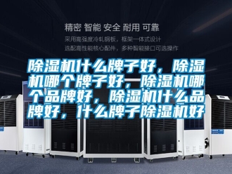 企業新聞除濕機什么牌子好，除濕機哪個牌子好，除濕機哪個品牌好，除濕機什么品牌好，什么牌子除濕機好