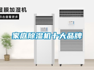 企業(yè)新聞家庭除濕機十大品牌