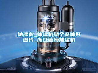 企業(yè)新聞抽濕機_抽濕機那個品牌好圖片_浙江臨海抽濕機
