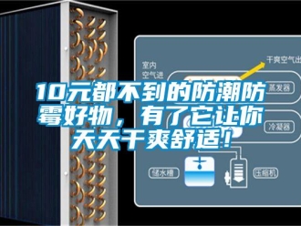企業新聞10元都不到的防潮防霉好物，有了它讓你天天干爽舒適！