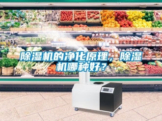 企業新聞除濕機的凈化原理，除濕機哪種好？