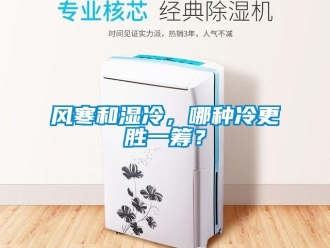 企業(yè)新聞風寒和濕冷，哪種冷更勝一籌？