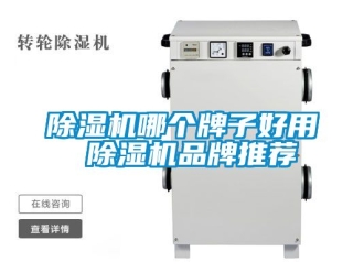 企業(yè)新聞除濕機(jī)哪個牌子好用 除濕機(jī)品牌推薦