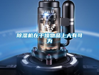 企業(yè)新聞除濕機(jī)在干燥物品上大有可為