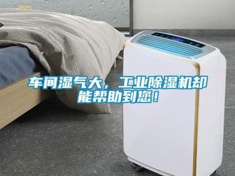 企業新聞車間濕氣大，工業除濕機卻能幫助到您！
