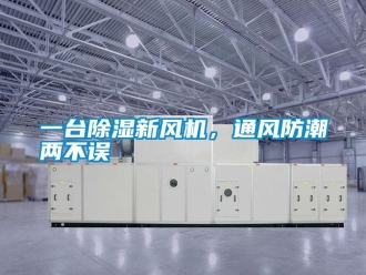 知識百科一臺除濕新風機，通風防潮兩不誤