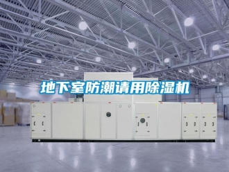 企業(yè)新聞地下室防潮請(qǐng)用除濕機(jī)