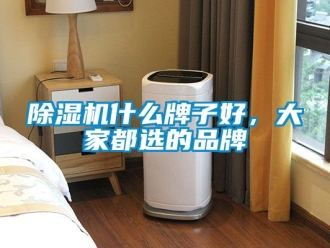 企業新聞除濕機什么牌子好，大家都選的品牌