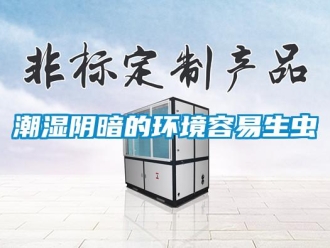 企業(yè)新聞潮濕陰暗的環(huán)境容易生蟲
