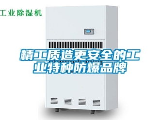 企業(yè)新聞精工質造更安全的工業(yè)特種防爆品牌