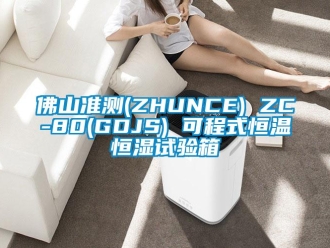 知識百科佛山準測(ZHUNCE) ZC-80(GDJS) 可程式恒溫恒濕試驗箱