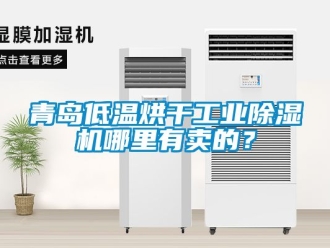 常見問題青島低溫烘干工業(yè)除濕機(jī)哪里有賣的？