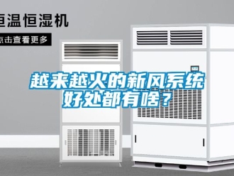 企業新聞越來越火的新風系統好處都有啥？