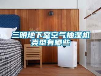 企業(yè)新聞三明地下室空氣抽濕機(jī)類型有哪些