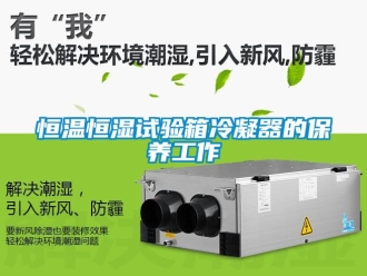 知識百科恒溫恒濕試驗箱冷凝器的保養(yǎng)工作