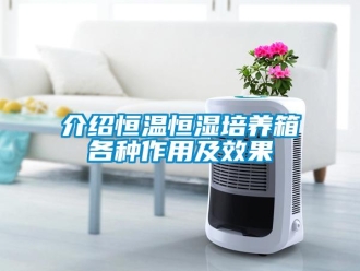 知識(shí)百科介紹恒溫恒濕培養(yǎng)箱各種作用及效果