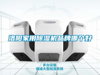 企業(yè)新聞洛陽家用除濕機品牌哪個好