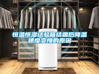 知識百科恒溫恒濕試驗(yàn)箱結(jié)霜后降溫速度變慢的原因