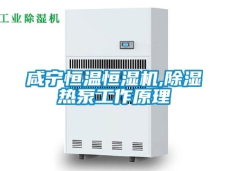 知識(shí)百科咸寧恒溫恒濕機(jī),除濕熱泵工作原理