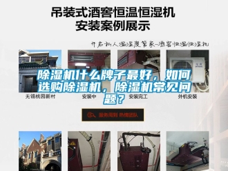 行業(yè)新聞除濕機(jī)什么牌子最好，如何選購(gòu)除濕機(jī)，除濕機(jī)常見(jiàn)問(wèn)題？