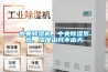 中央除濕機，中央除濕系統(tǒng)，濕度由我不由天