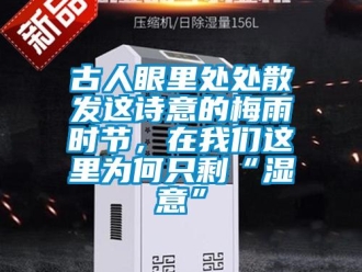 企業(yè)新聞古人眼里處處散發(fā)這詩意的梅雨時節(jié)，在我們這里為何只剩“濕意”