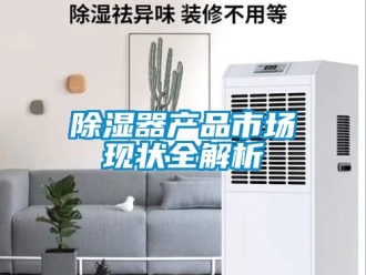 行業(yè)新聞除濕器產(chǎn)品市場(chǎng)現(xiàn)狀全解析