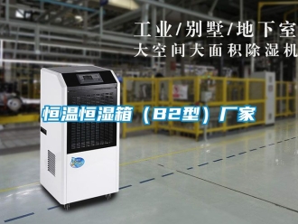 知識百科恒溫恒濕箱（B2型）廠家