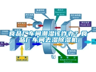 企業新聞食品廠車間潮濕該咋辦？食品廠車間去濕除濕機
