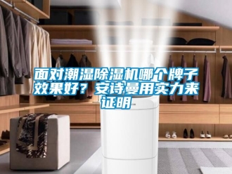 行業新聞面對潮濕除濕機哪個牌子效果好？安詩曼用實力來證明