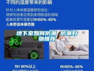 企業(yè)新聞地下室如何防潮 防潮好物推薦