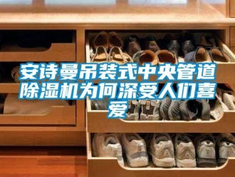 企業(yè)新聞安詩(shī)曼吊裝式中央管道除濕機(jī)為何深受人們喜愛(ài)