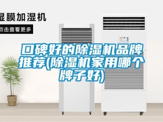 企業新聞口碑好的除濕機品牌推薦(除濕機家用哪個牌子好)