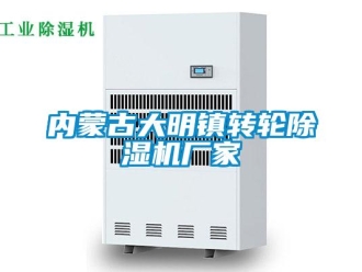 企業新聞內蒙古大明鎮轉輪除濕機廠家