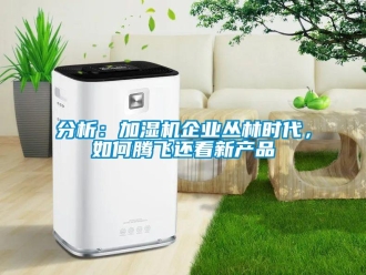 常見問題分析：加濕機企業(yè)叢林時代，如何騰飛還看新產(chǎn)品