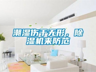 企業(yè)新聞潮濕傷于無(wú)形，除濕機(jī)來(lái)防范