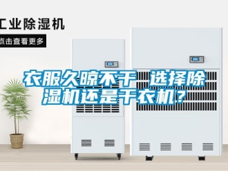 知識(shí)百科衣服久晾不干 選擇除濕機(jī)還是干衣機(jī)？