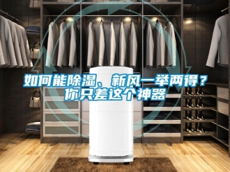 企業新聞如何能除濕、新風一舉兩得？你只差這個神器