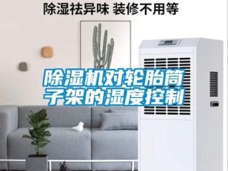 企業(yè)新聞除濕機對輪胎筒子架的濕度控制
