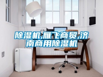常見(jiàn)問(wèn)題除濕機(jī),雁飛商貿(mào),濟(jì)南商用除濕機(jī)