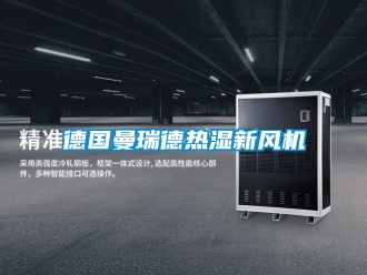 企業(yè)新聞德國(guó)曼瑞德熱濕新風(fēng)機(jī)