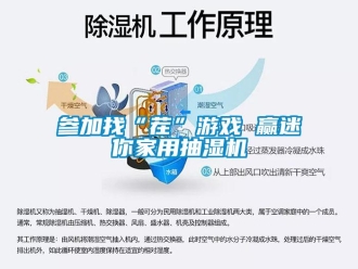 企業(yè)新聞參加找“茬”游戲 贏迷你家用抽濕機