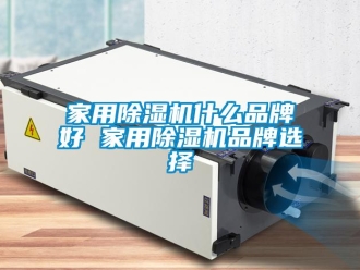 企業(yè)新聞家用除濕機什么品牌好 家用除濕機品牌選擇