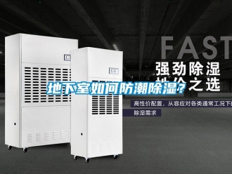 企業(yè)新聞地下室如何防潮除濕？