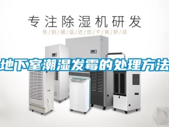 企業(yè)新聞地下室潮濕發(fā)霉的處理方法