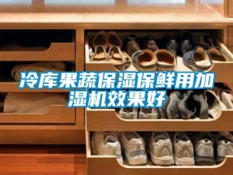 行業(yè)新聞冷庫果蔬保濕保鮮用加濕機(jī)效果好
