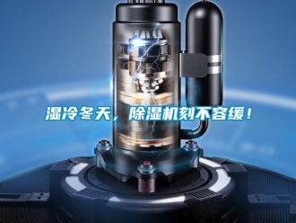 知識百科濕冷冬天，除濕機刻不容緩！