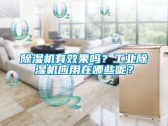 常見問題除濕機(jī)有效果嗎？工業(yè)除濕機(jī)應(yīng)用在哪些呢？