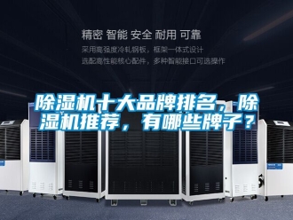 企業(yè)新聞除濕機十大品牌排名，除濕機推薦，有哪些牌子？